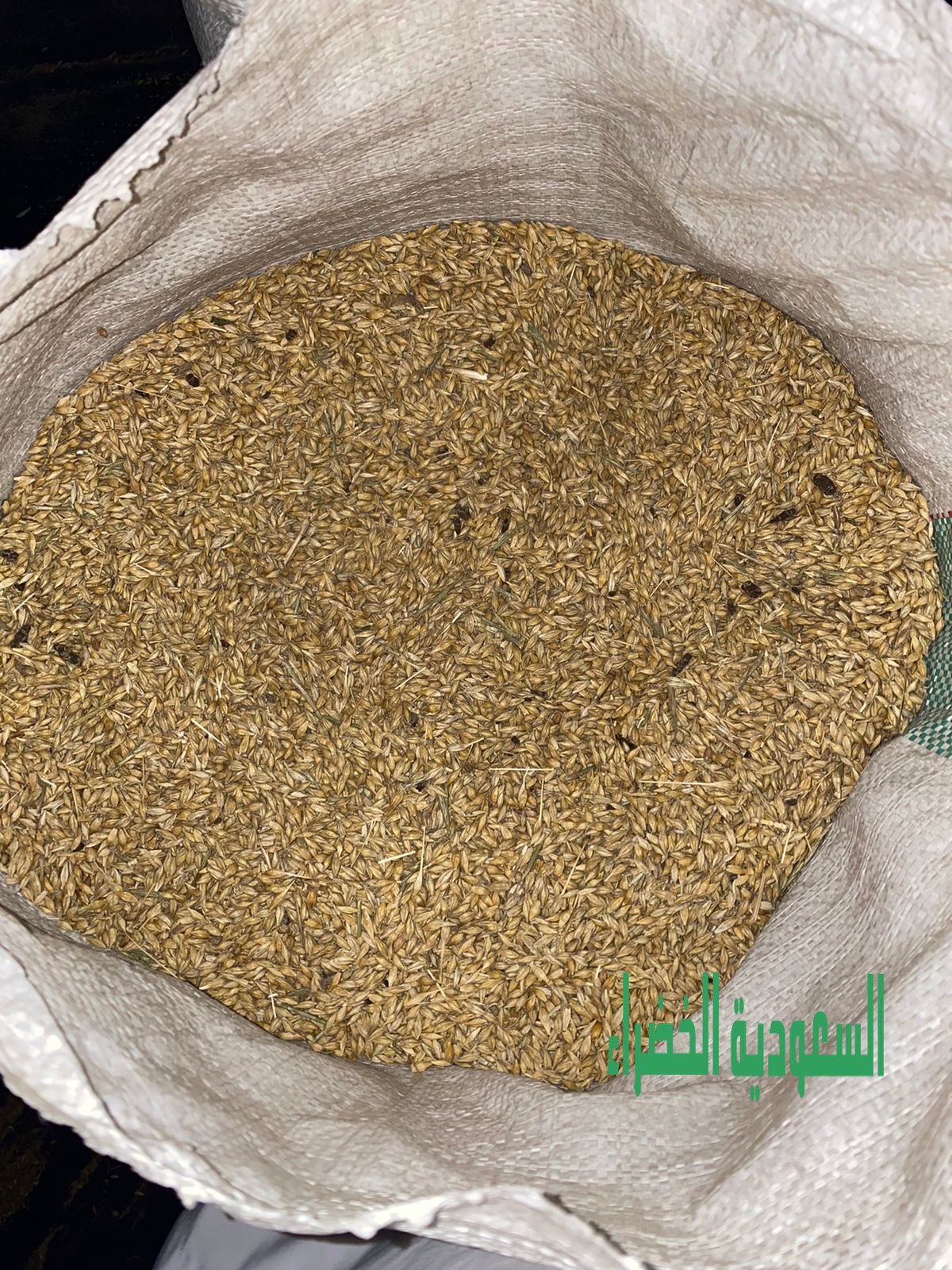 شعير