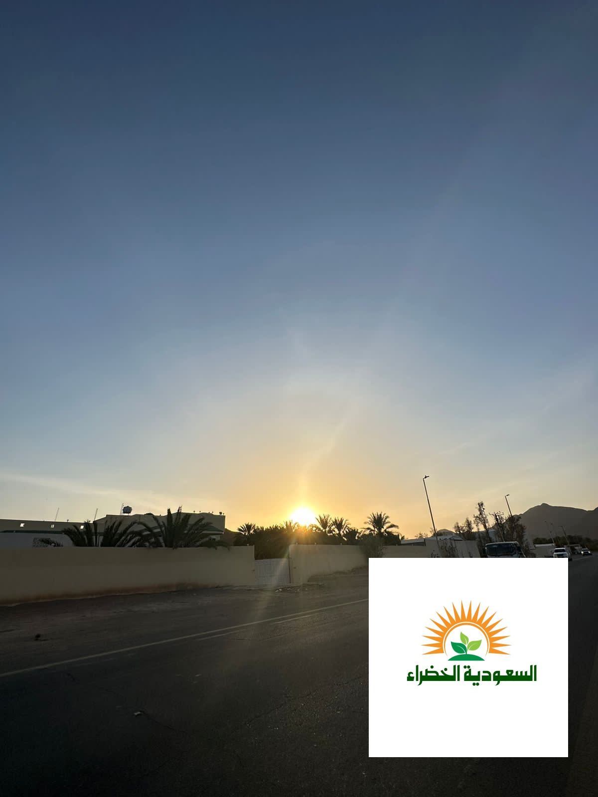 للبيع مزرعه بطريق العيون